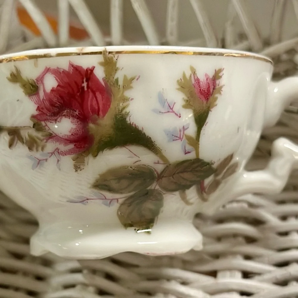 Moss Rose Floral Porcelain Demitasse and Footed Base Tea Cups and Saucers